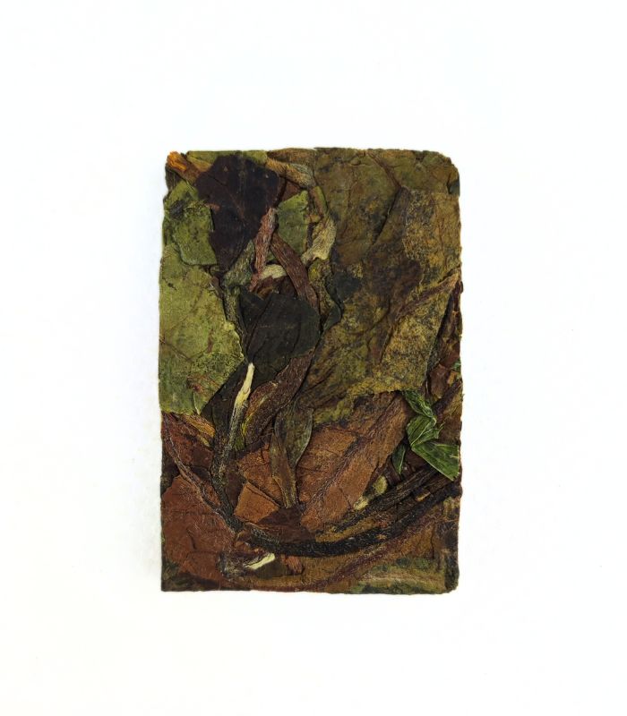 Білий чай Бай Му Дань 5 грам