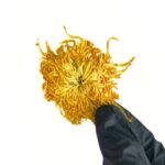 Золота Хризантема Квітковий Чай 20 грам