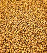 Ку Цяо – Гречишный чай 100 грамм — изображение 2